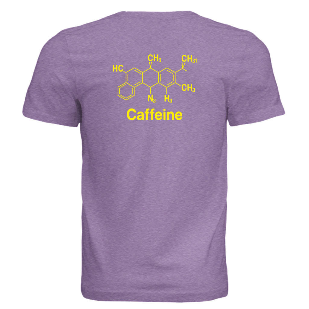 PURPLE TRIBLEND - 3413C - BACK
